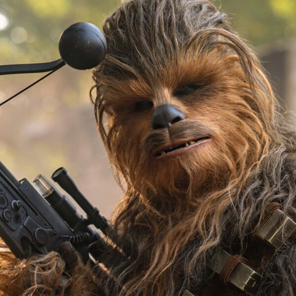 Figura de Star Wars Chibi (Chewbacca cabeza de resolte)
