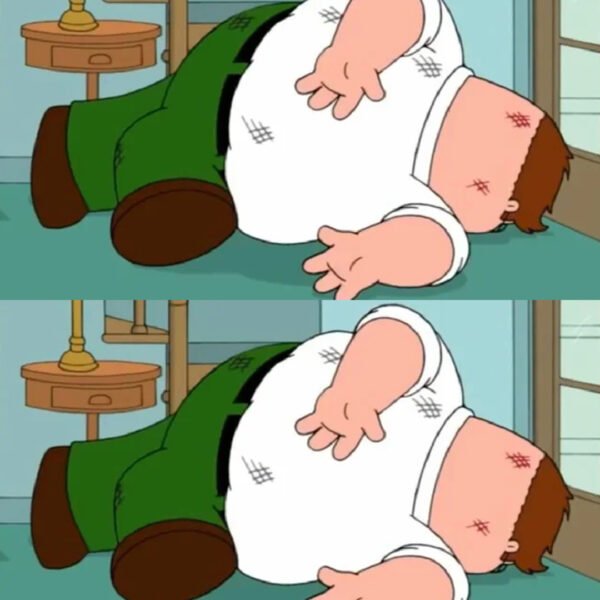 Alfombra Peter Griffin Tirado – Family Guy