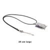Collar de SNK (Legión de Reconocimiento)