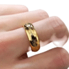 Anillo del Señor de los anillos con su cadena