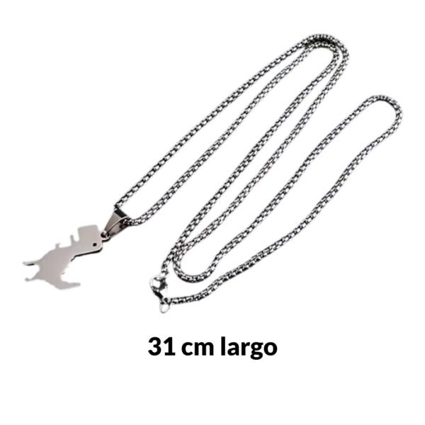 Medidas Collar de Dinosaurio (Google)