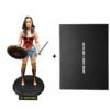 Pack de Pines Liga de la Justicia y Figura de Wonder Woman Articulable  - DC Comics