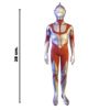 Figura de Ultraman – Ultraman (BANPRESTO)